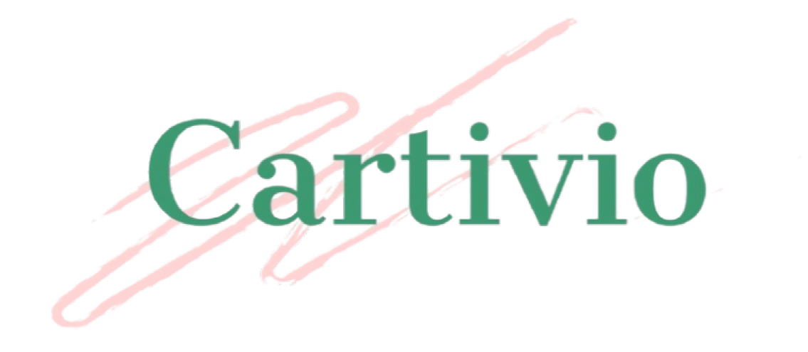 SAIKAS IT SOLUTION PRIVATE LIMITED